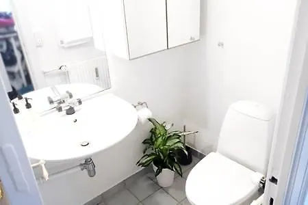 公寓 Modern Living In Historical Building 哥本哈根